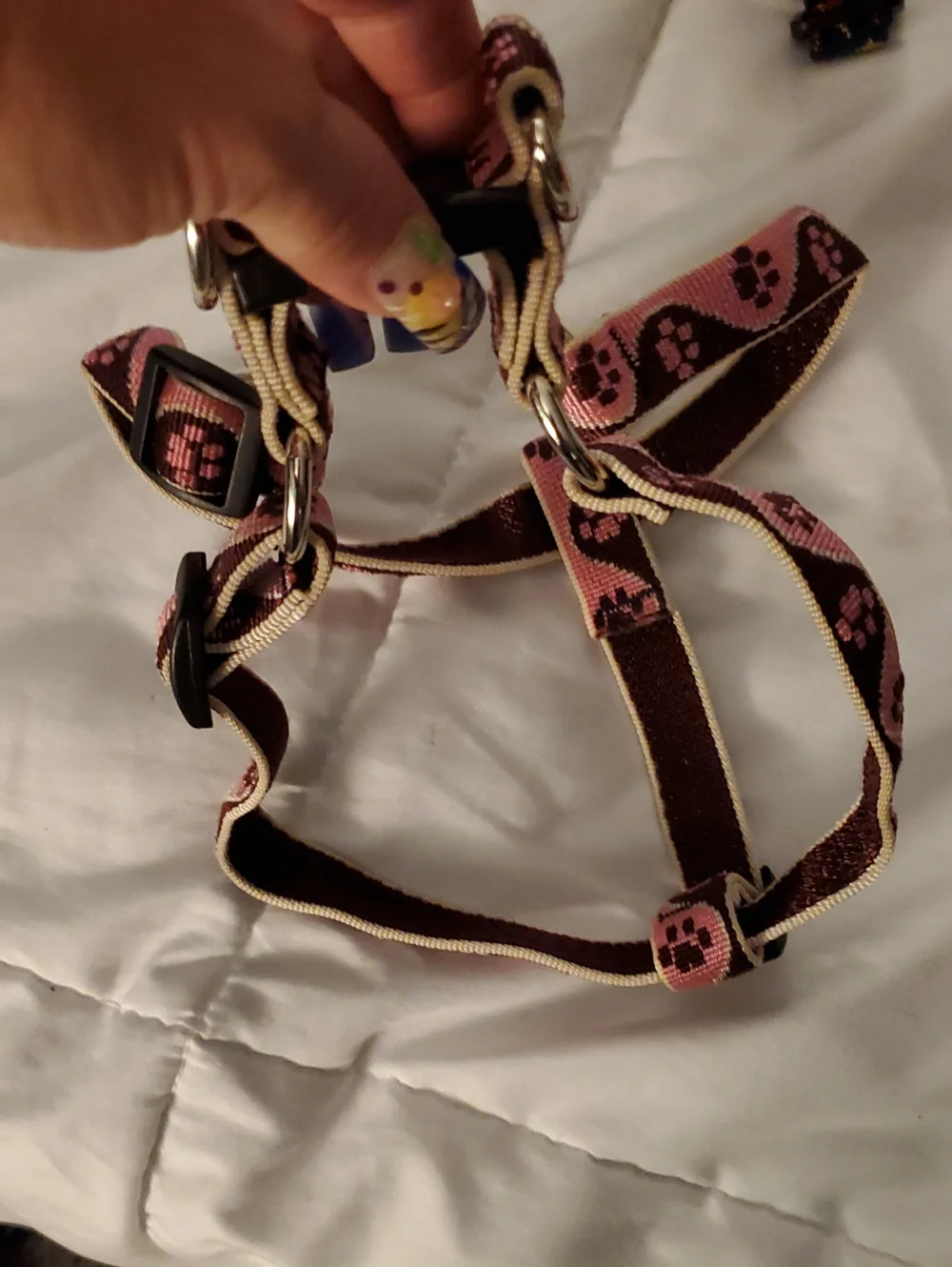 2 Lupine SMALL harnesses